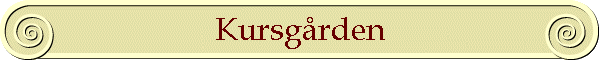 Kursgrden