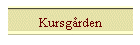 Kursgrden