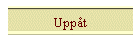 Uppt